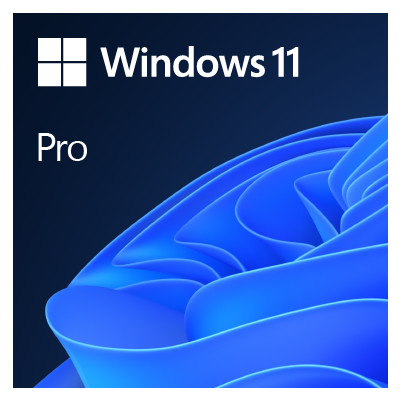 Microsoft Windows 11 Pro OEM - Erstausrüster (OEM) -...