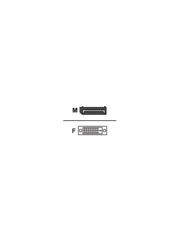 Dell Wyse 920327-01L - DisplayPort - DVI-D - Schwarz to DVI-D - M/F