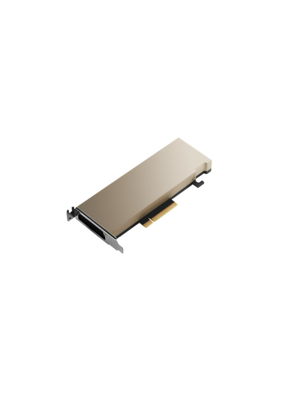 HPE NVIDIA A2 16GB PCIe NonCEC Accelerator Processeur de calcul - A2 - 16 Go  GDDR6 - PCIe 4.0