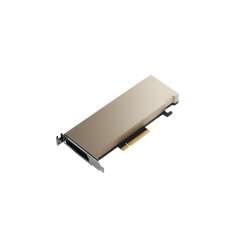 HPE NVIDIA A2. Grafikprozessorenfamilie: NVIDIA, GPU: A2. Separater Grafik-Adapterspeicher: 16 GB, Grafikkartenspeichertyp: GDDR6. Schnittstelle: PCI Express 4.0. Kühlung: Passiv