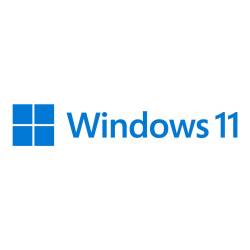 Microsoft Windows 11 Home - Box-Pack - 1 Lizenz - Flash-Laufwerk 64-bit - Deutsch