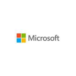 Microsoft Windows Server 2019 - Lizenz - 20 Benutzer-CALs Englisch