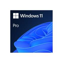 Microsoft Windows 11 Pro - Lizenz - 1 Lizenz - ESD -...