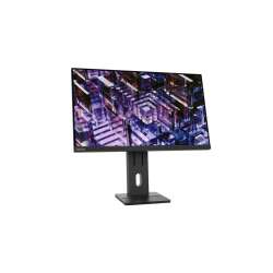 Lenovo ThinkVision 23.8IN 2K QHD IPS - 60,5 cm - 23,8"
