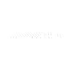 HP 125 G2 USB Wired Keyboard SWIS2, Intel Graphics, Win11...