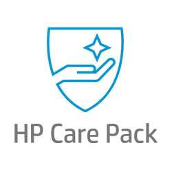 HP 2 Jahre HW-Support am nächsten Arbeitstag vor Ort mit DMR für DJ Z6610-60, 2 Jahr(e), Vor Ort