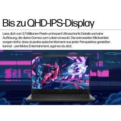 HP OMEN Gaming Laptop 17-db1889nz,  Renew AMD Ryzen 9 365, 32 GB DDR5, 1TB SSD, 17.3" QHD 2560x1440 Anti-Glare, AMD Radeon™ Graphics, Win11 Home, Silber, 1 Jahr Bring‑In Garantie