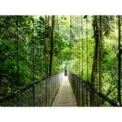 HP EliteDesk 8 Mini G1i, Renew, Intel Ultra 7 265T, 16 GB DDR5, 512GB SSD, Intel Graphics, Win11 Pro, Schwarz, 1 Jahr Vor‑Ort Service